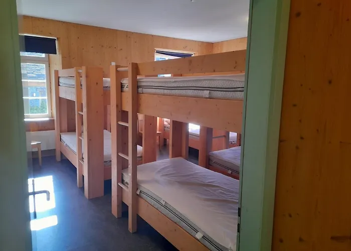 6541 بيت شباب